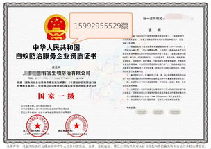 深圳教育咨詢服務 專業(yè)導航，助力學子與家庭的教育成長之路