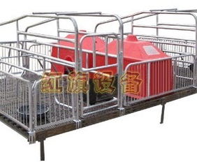 安平縣紅旗養豬設備廠 專注于養殖設備供應的可靠合作伙伴